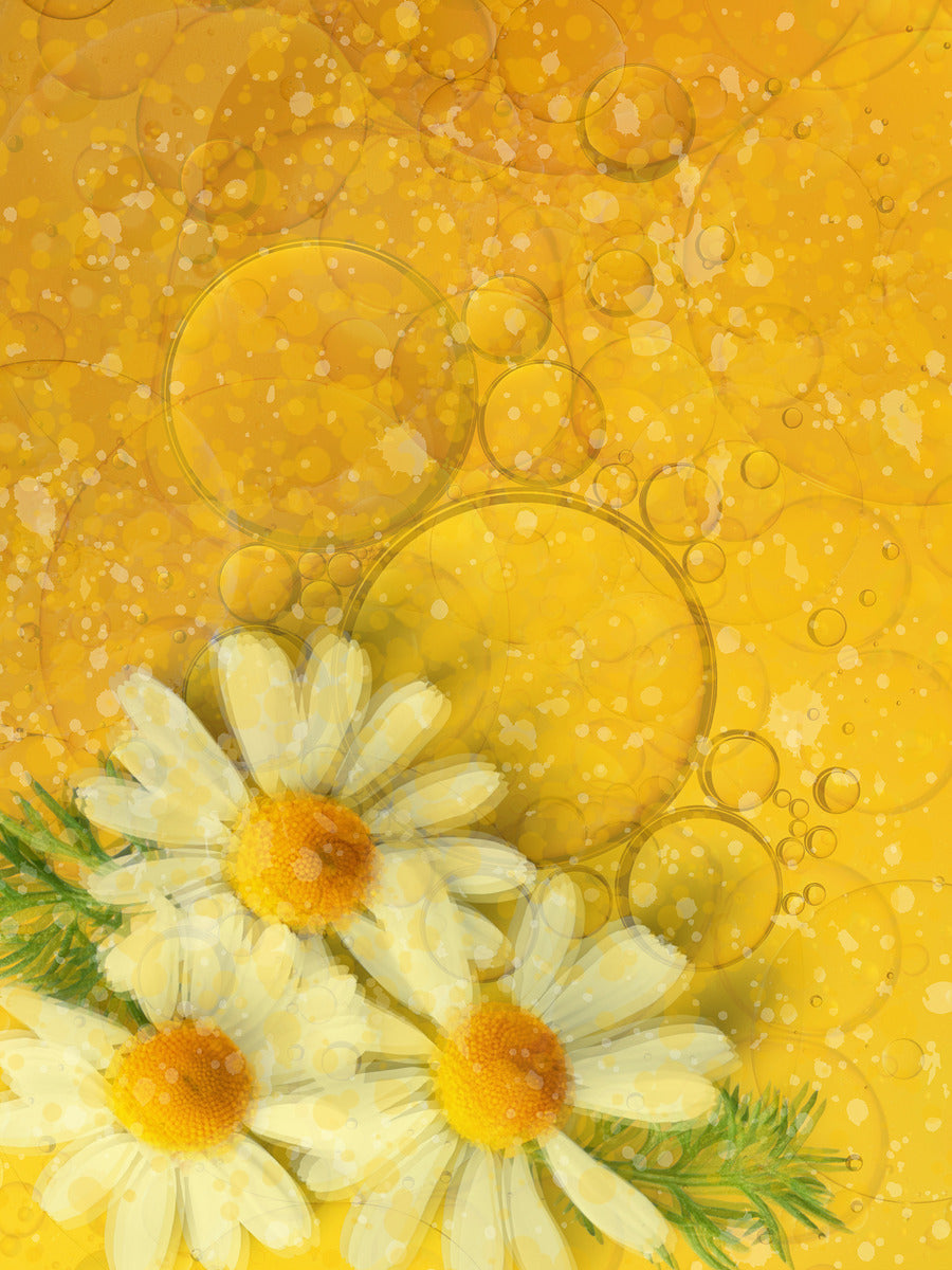Fluid Daisies
