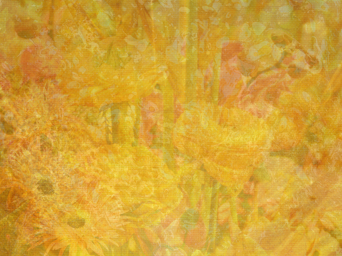 Field Of Wonder