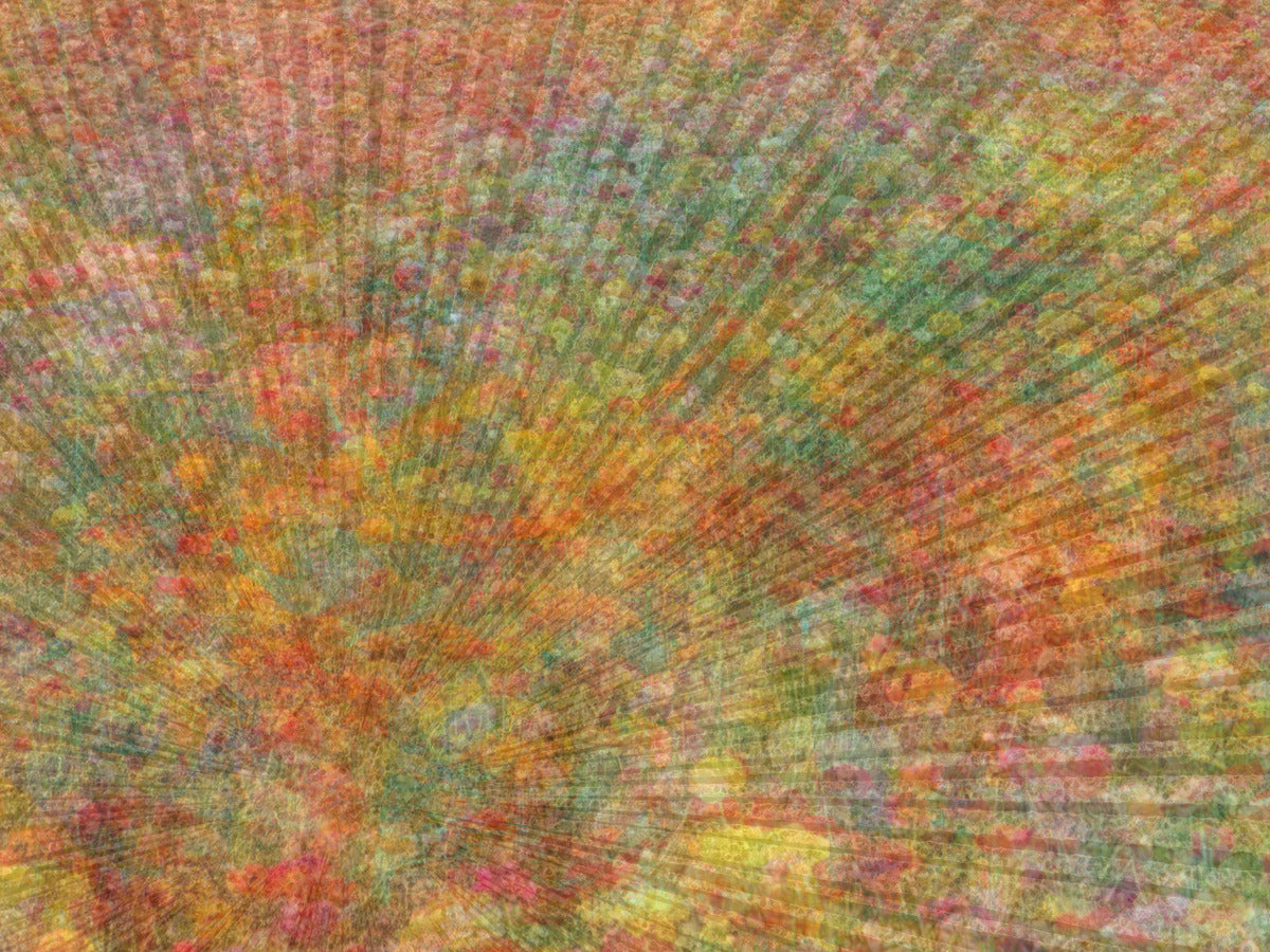 2332647 :: Giclée Rolled Canvas Print