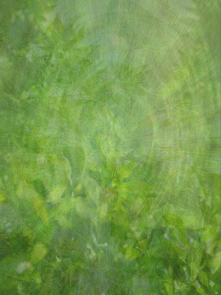 Emerald Daydream