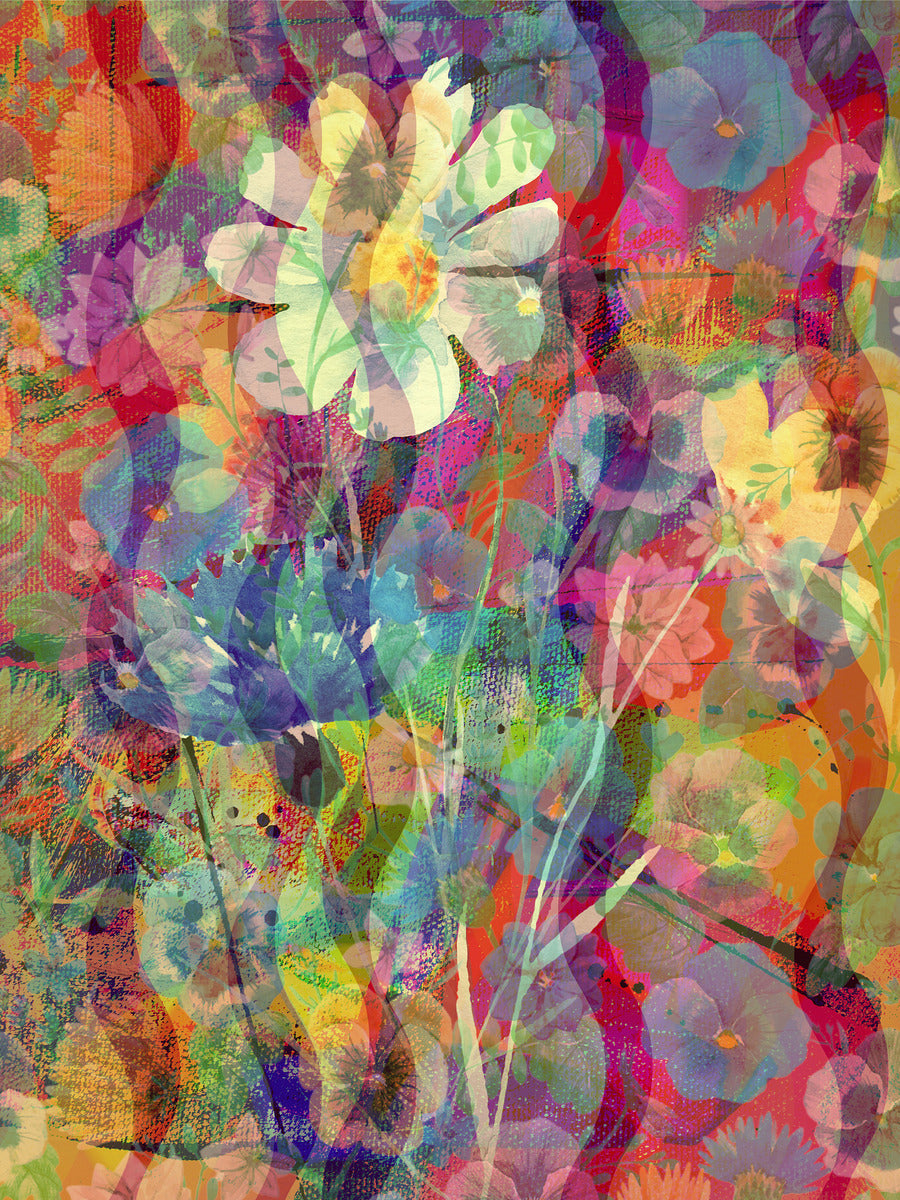 2397888 :: Giclée Poster Satin Photo Paper Print