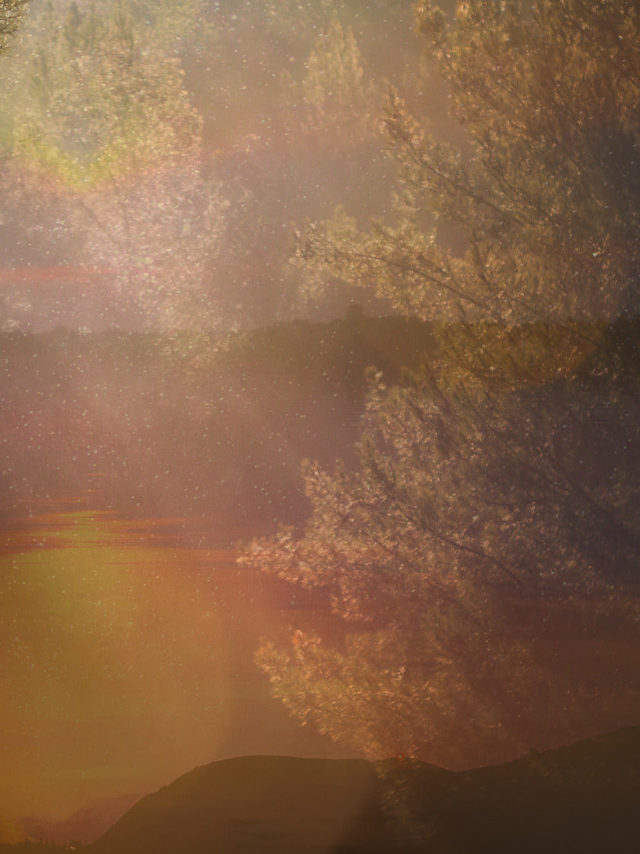 Celestial Reflections