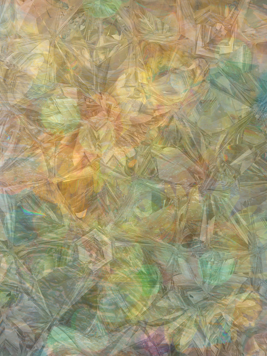 Giclee Rolled Canvas Print