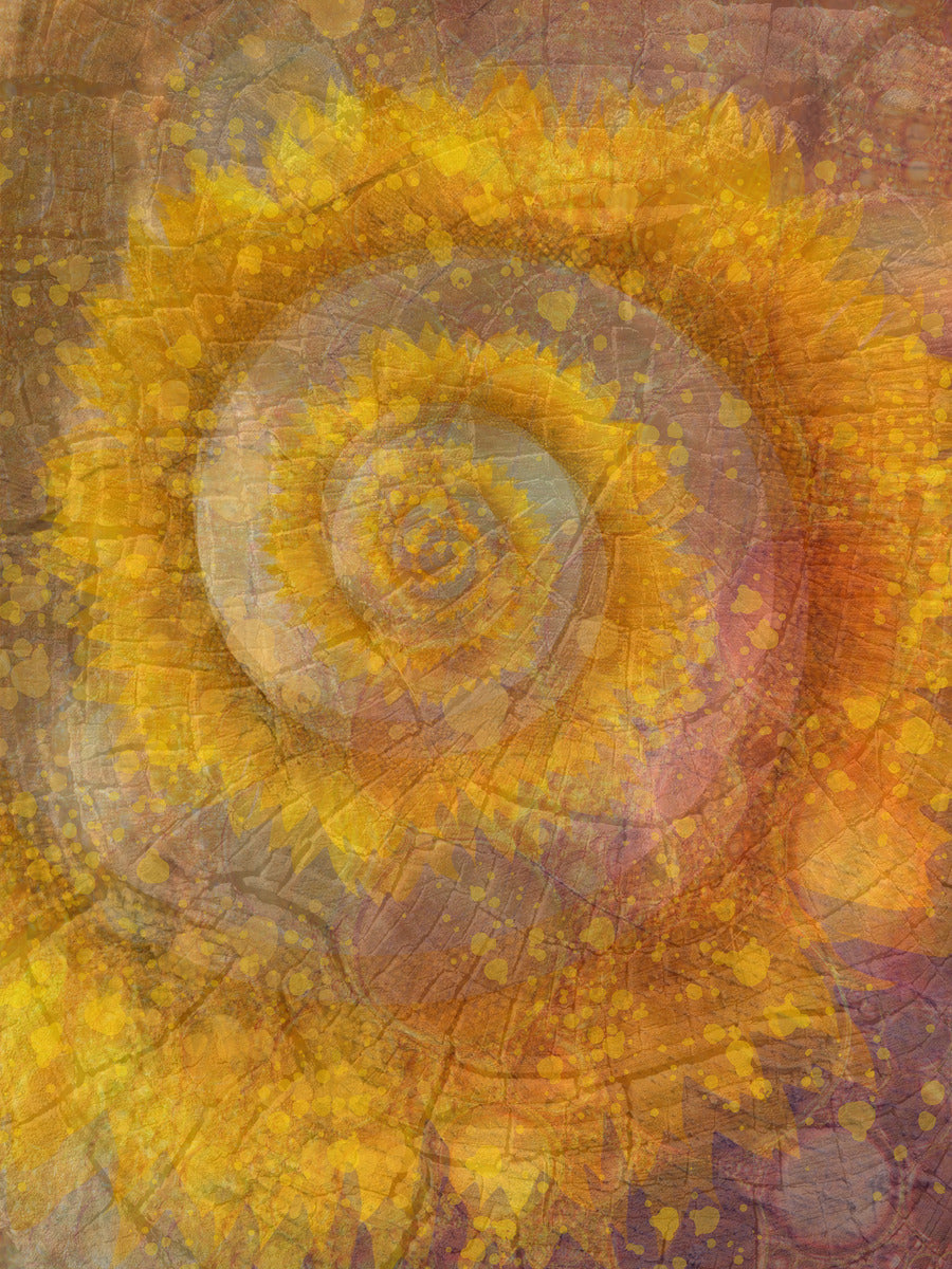 Spirals Of Time