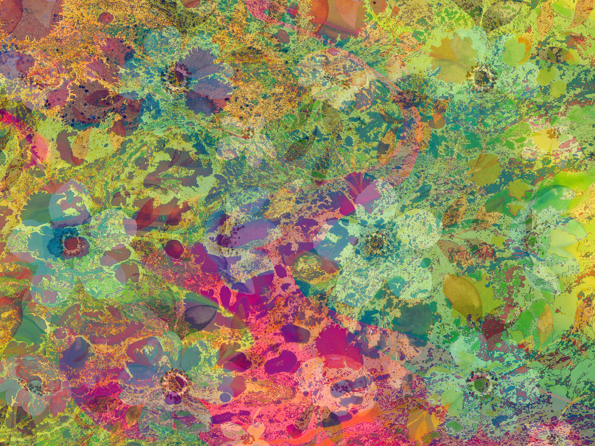 2397895 :: Giclée Rolled Canvas Print