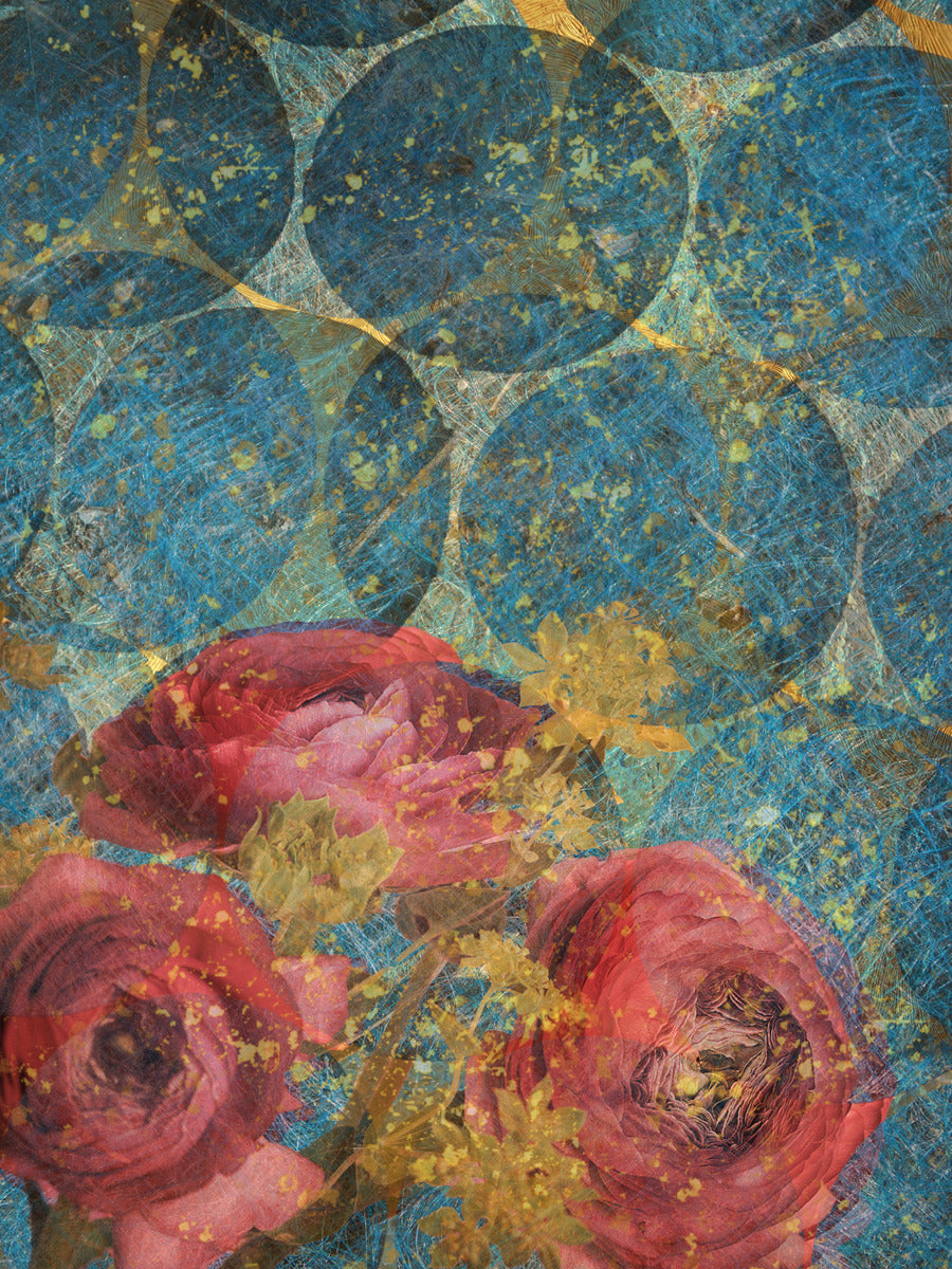 Peonies In The Cosmos