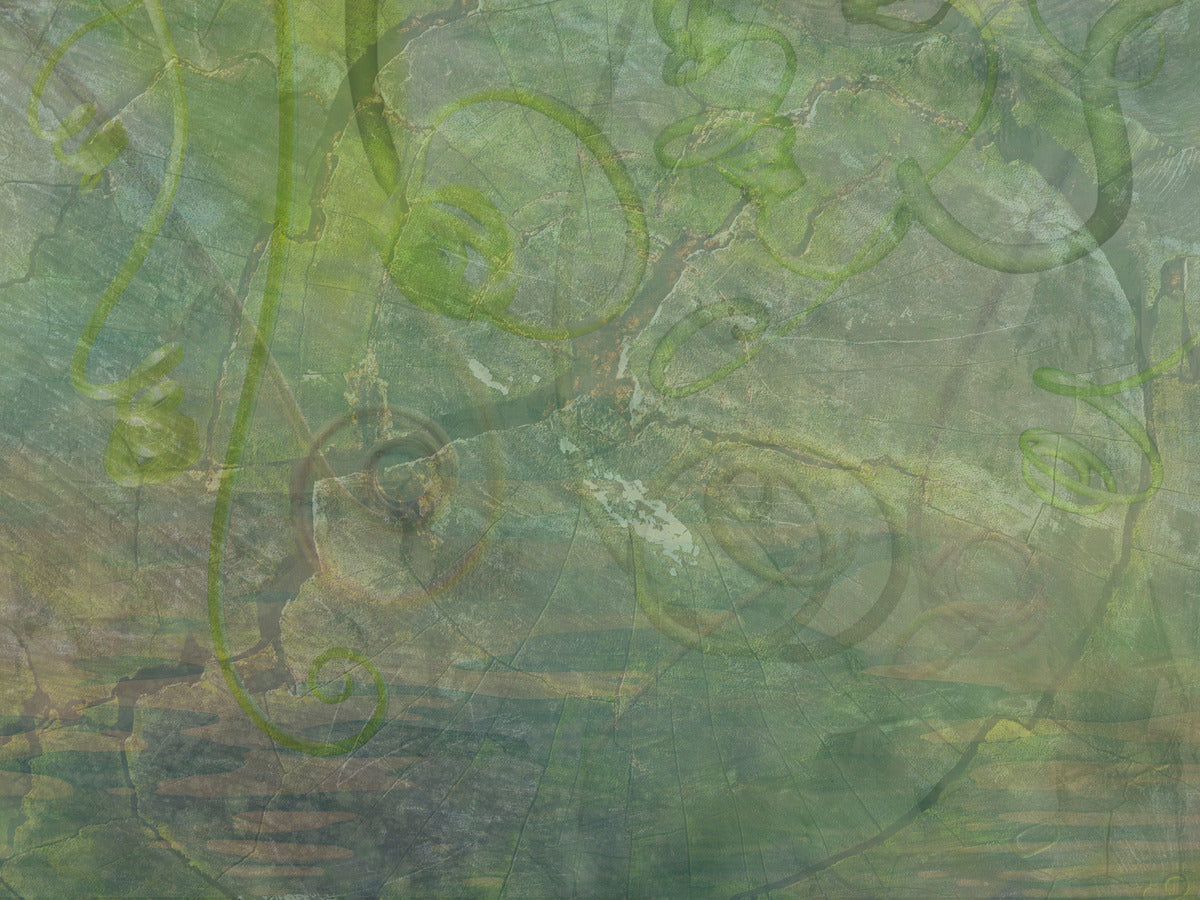 Whispers of the Forest