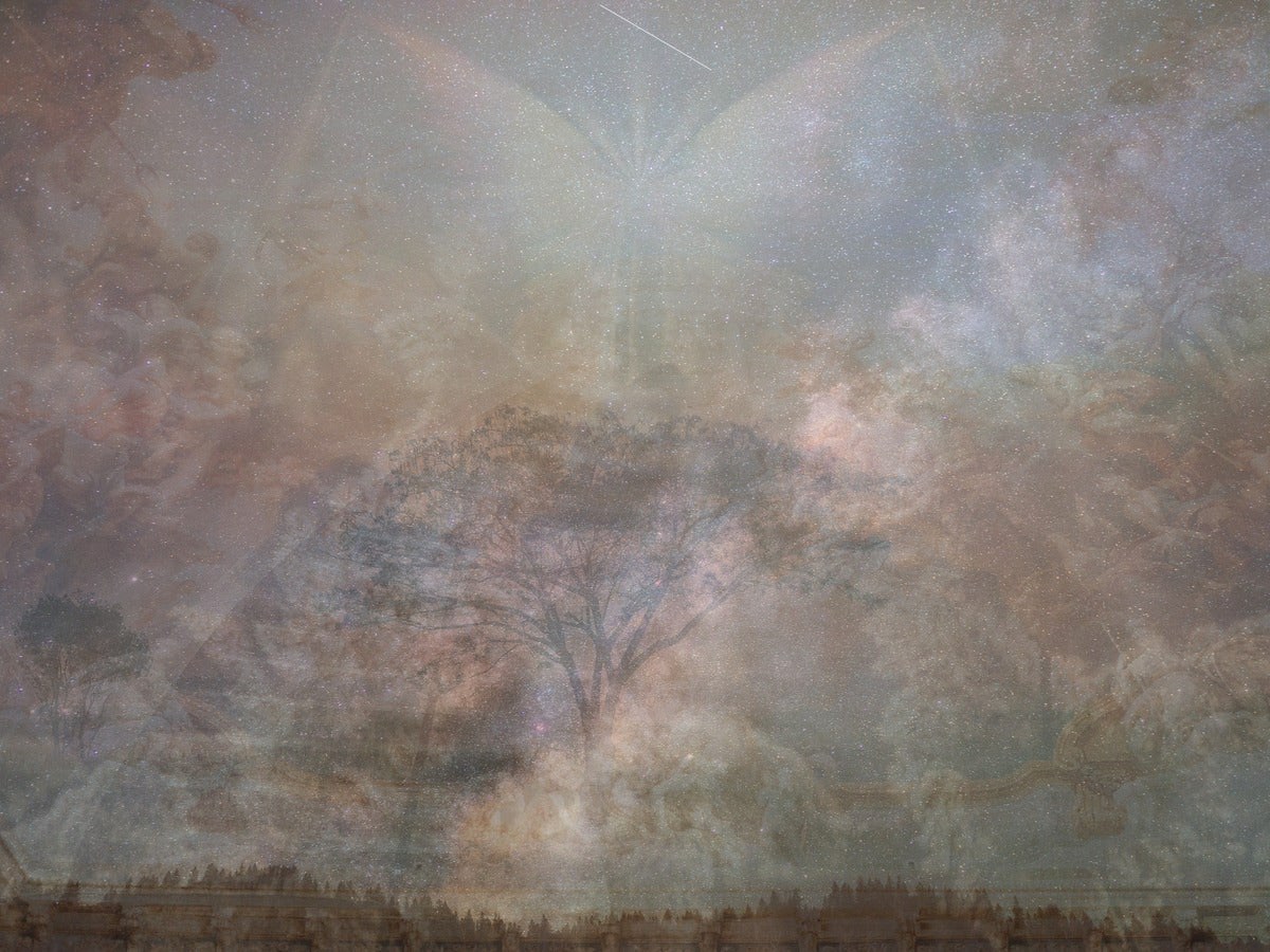 Dreamscape Canopy