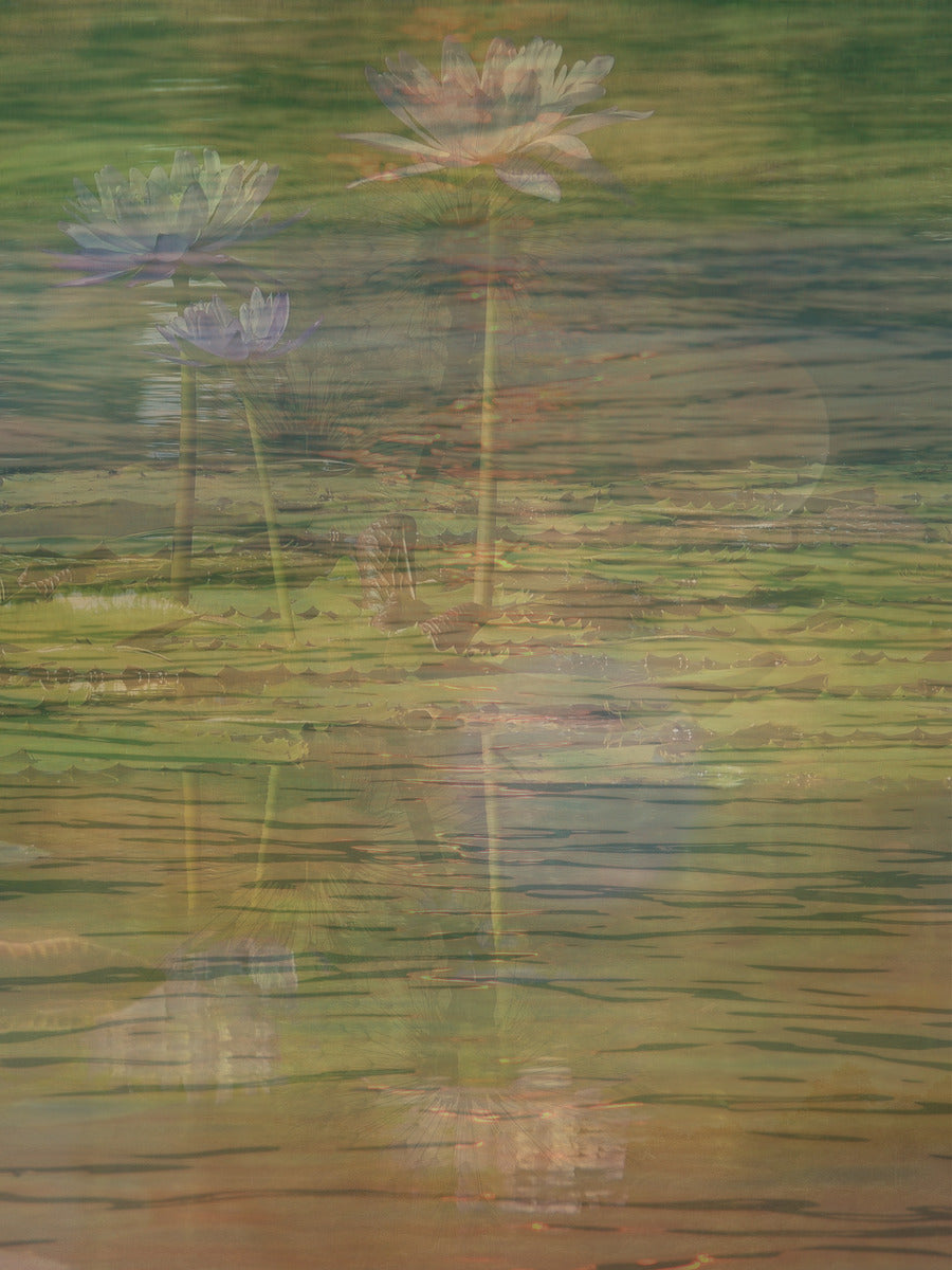 Tranquil Reflections