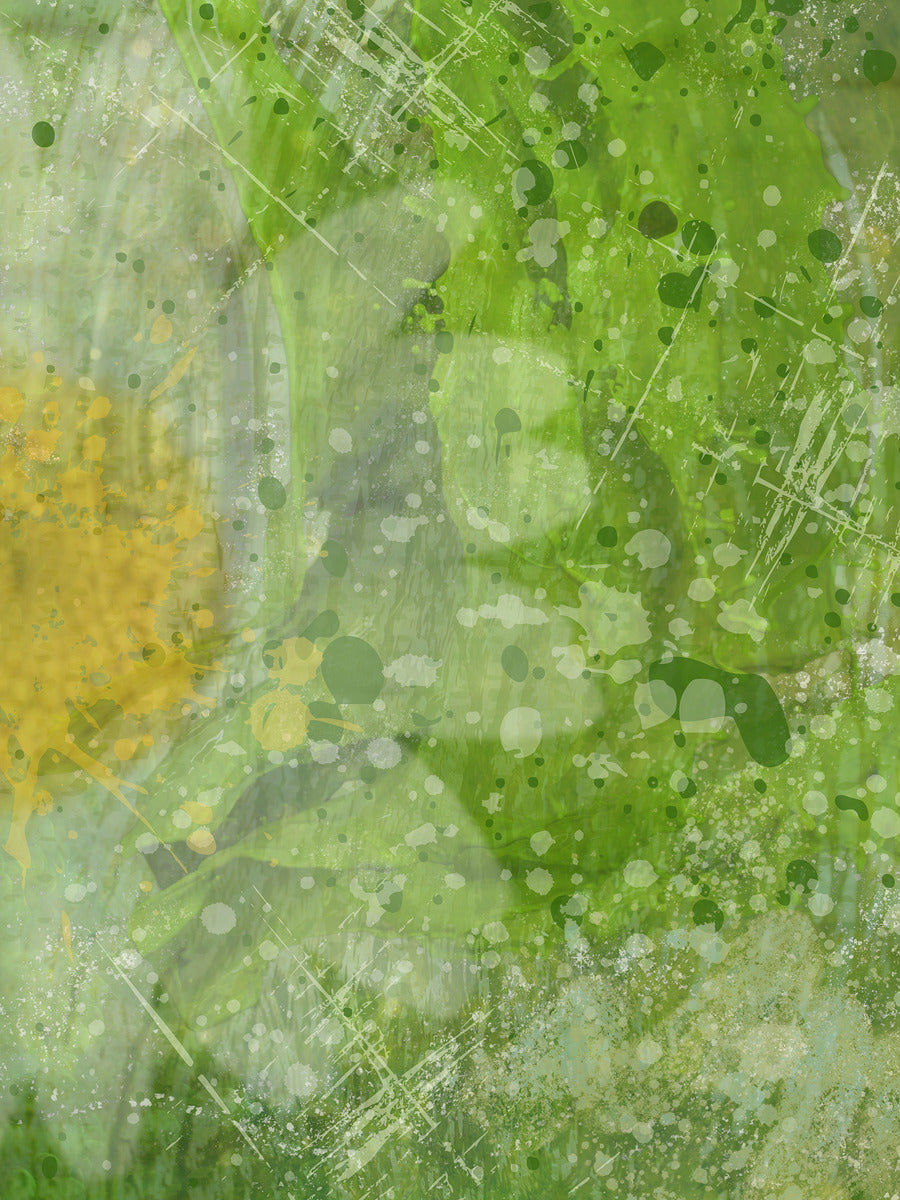 Mirrored Growth