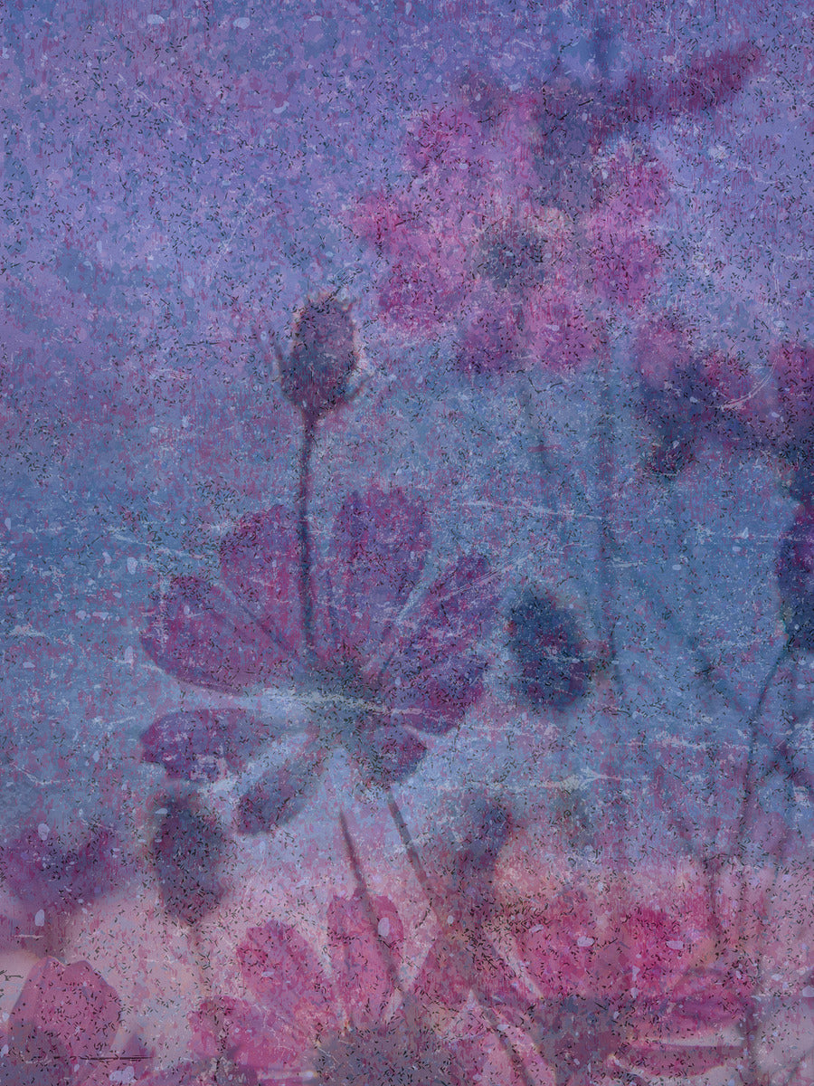 Giclee Fine Art Matte Paper Print