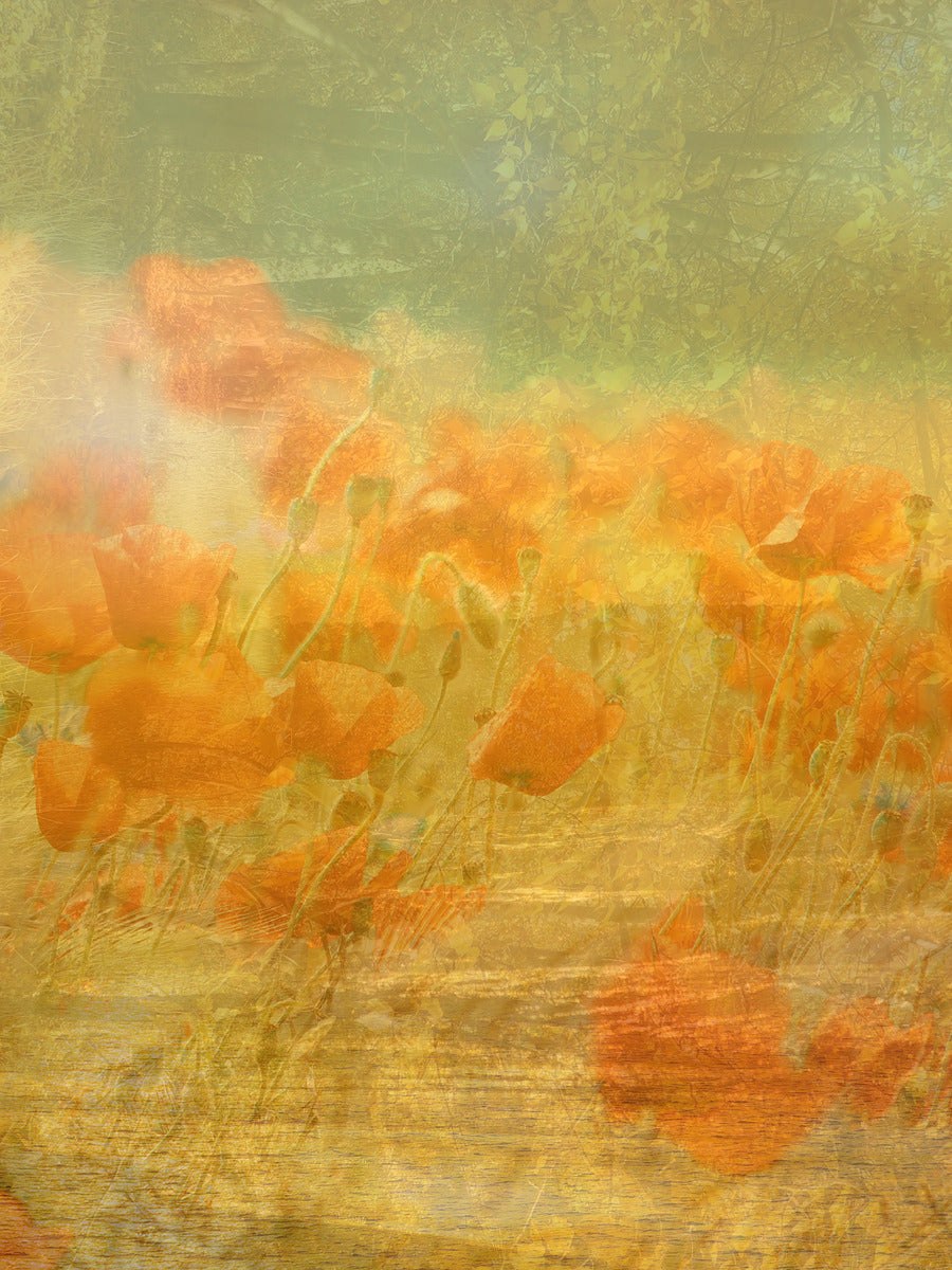 Ethereal Reflections