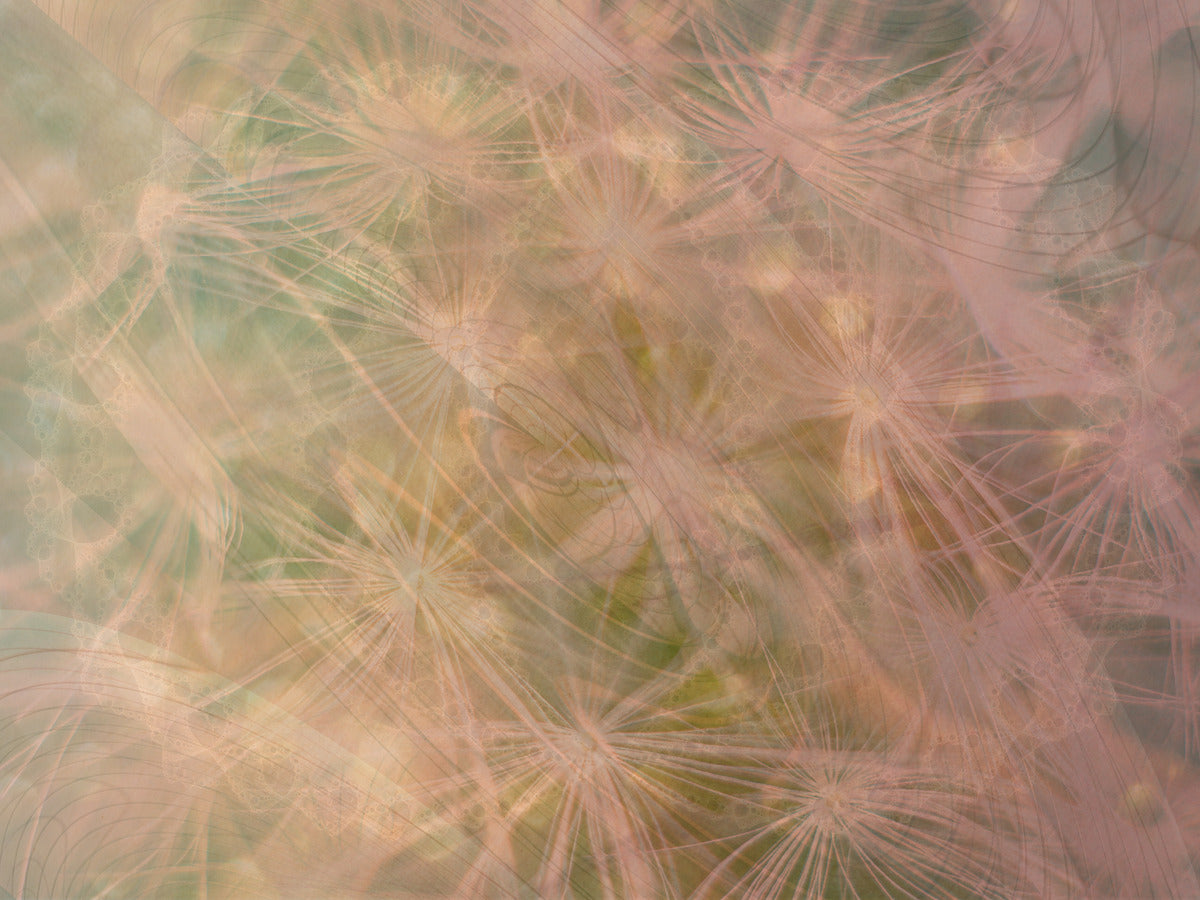 2332667 :: Giclée Fine Art Matte Paper Print