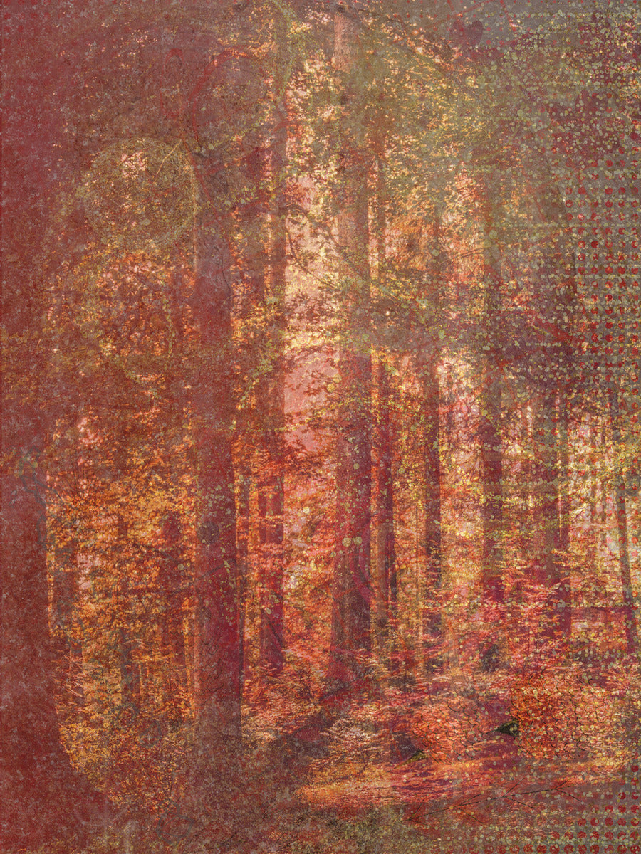 Autumn Warmth
