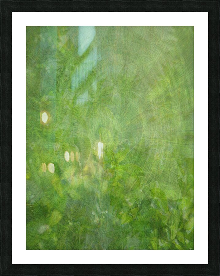 Framed Print
