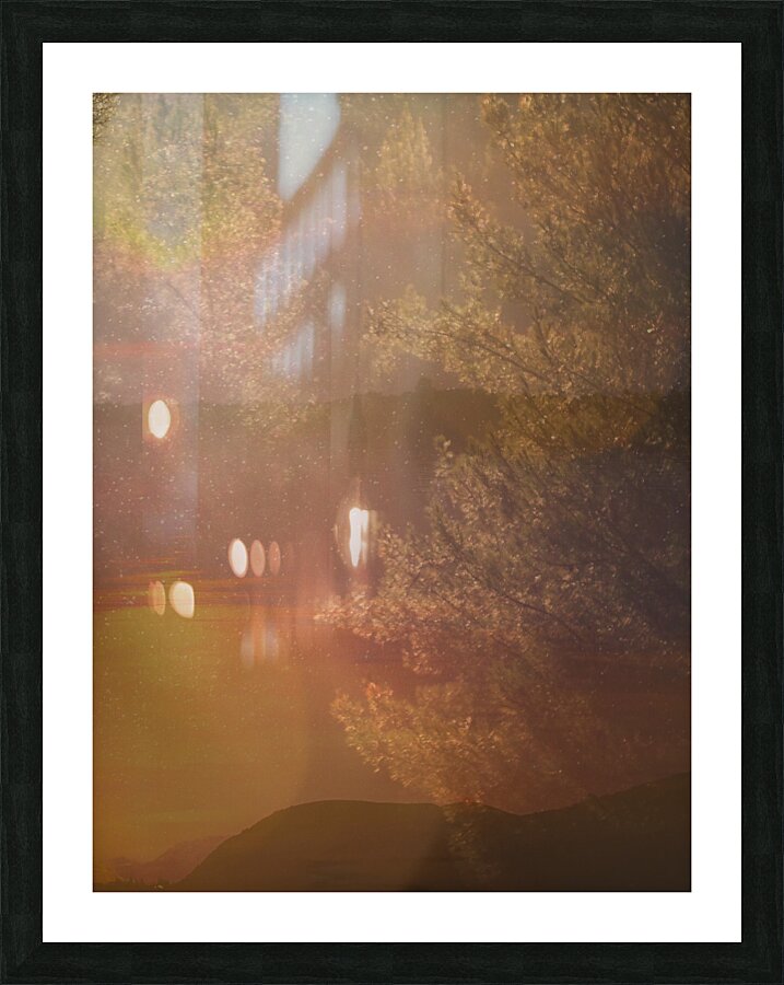 Framed Print
