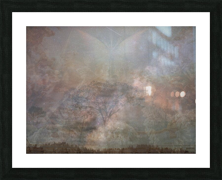 Framed Print