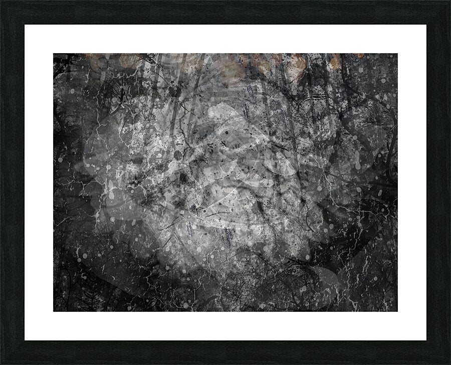 Framed Print