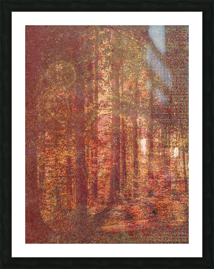 Autumn Warmth