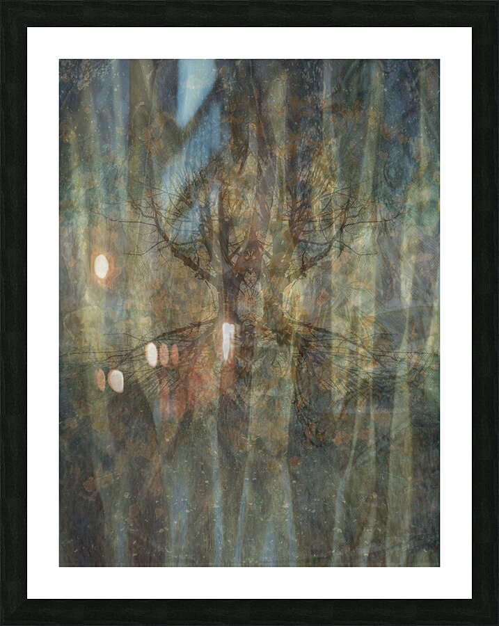 Enchanted Forest