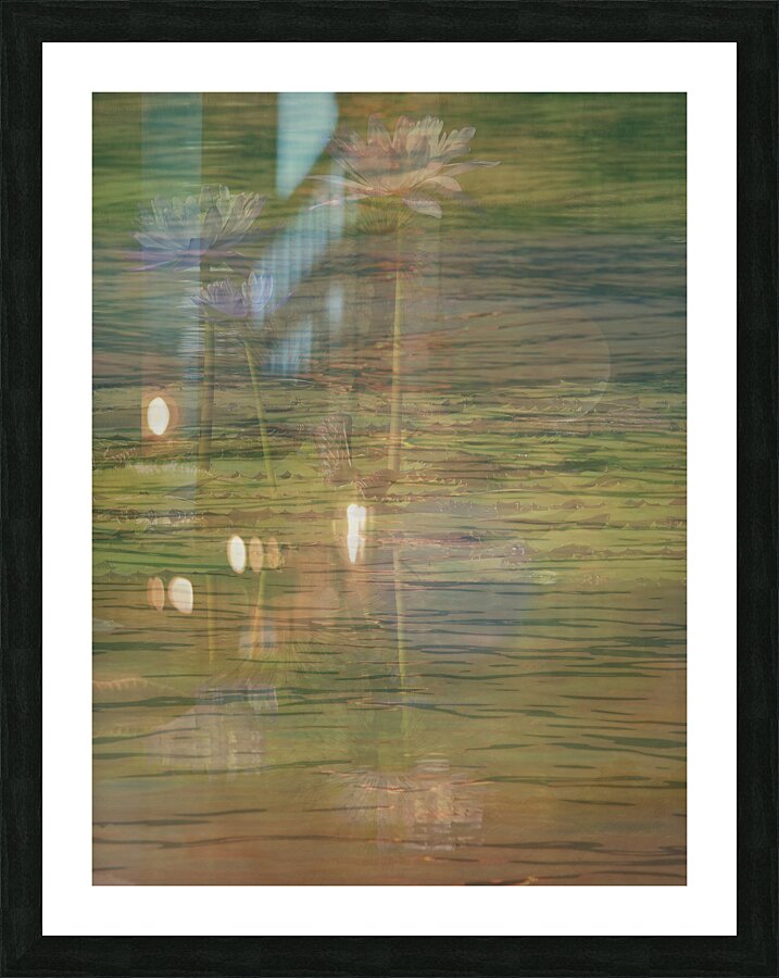 Tranquil Reflections