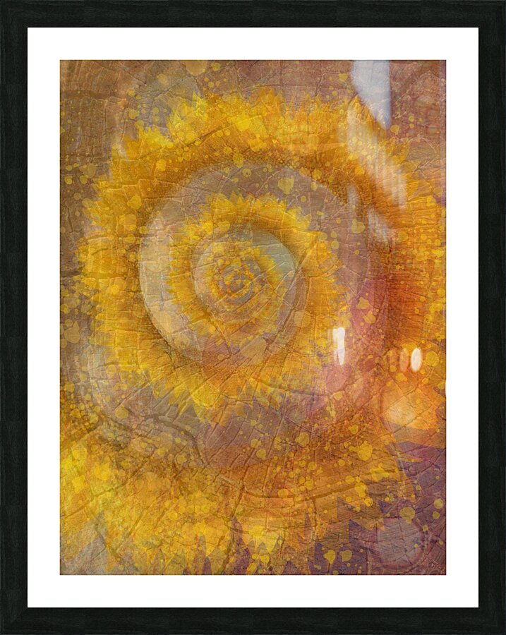 Spirals Of Time