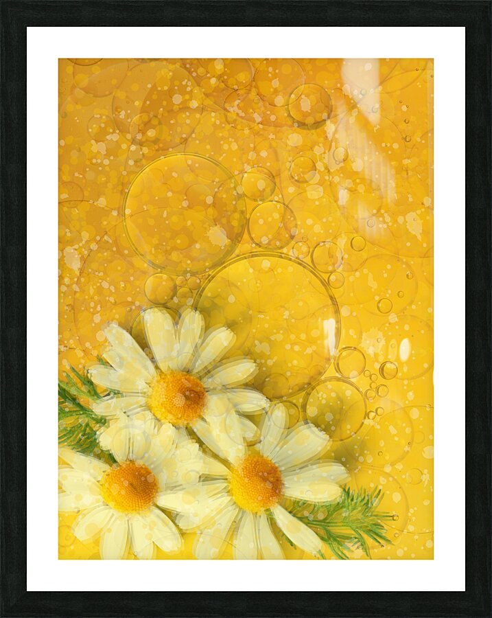 Fluid Daisies