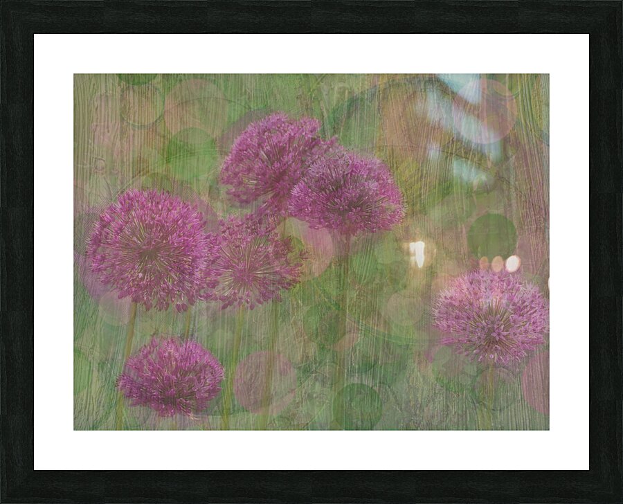 Whimsical Alliums
