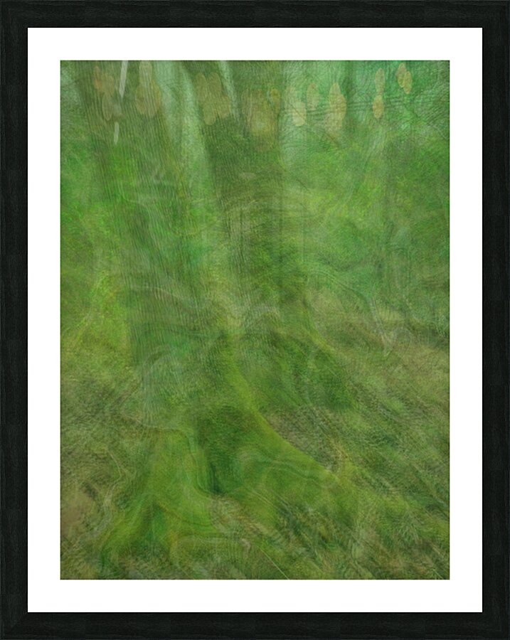 2328539 :: Framed Print