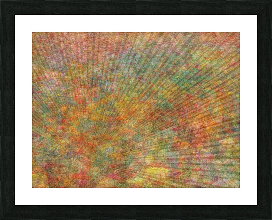 2332647 :: Framed Print