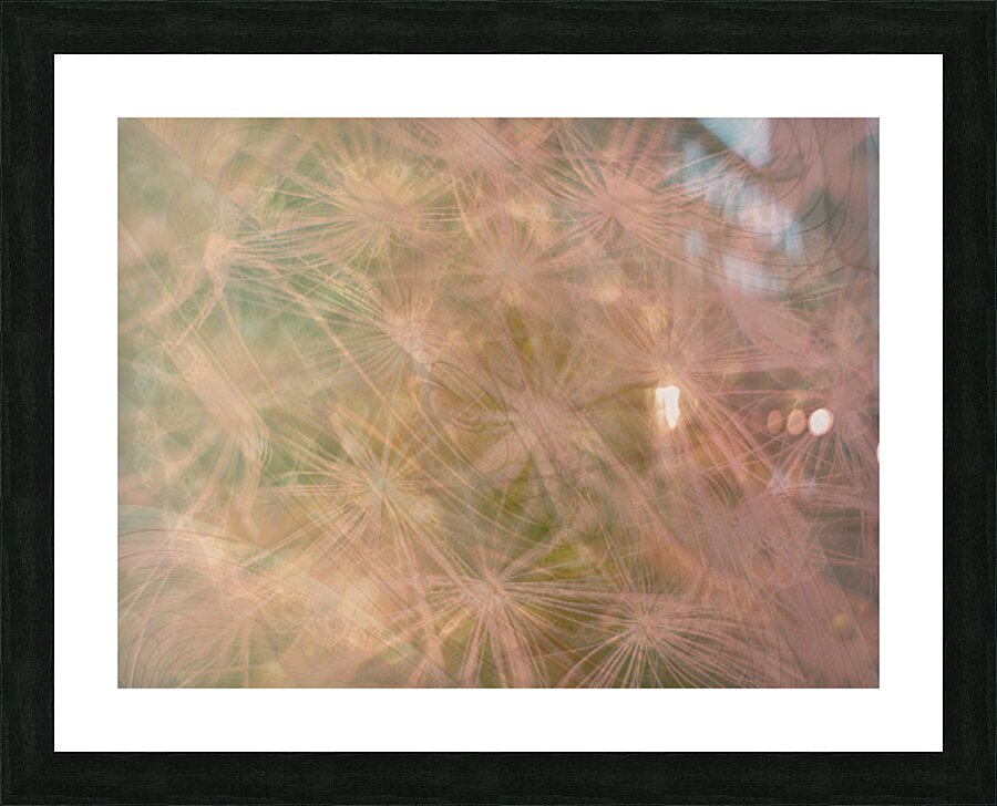 2332667 :: Framed Print