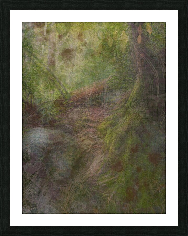 2443089 :: Framed Print