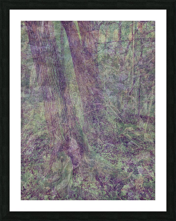 2443095 :: Framed Print
