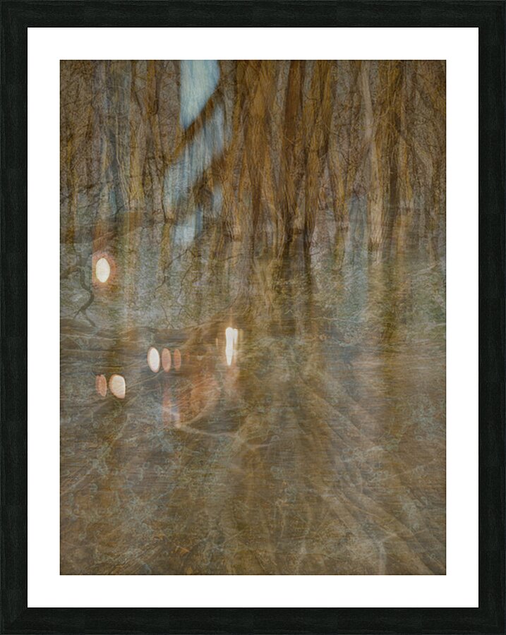2443101 :: Framed Print