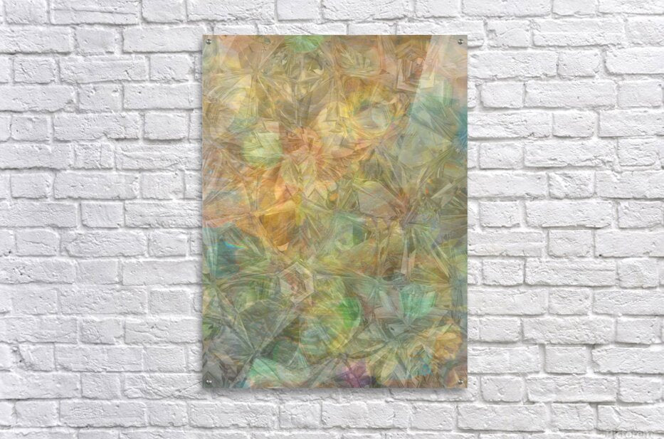 Acrylic Print