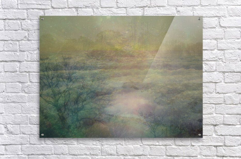 Acrylic Print