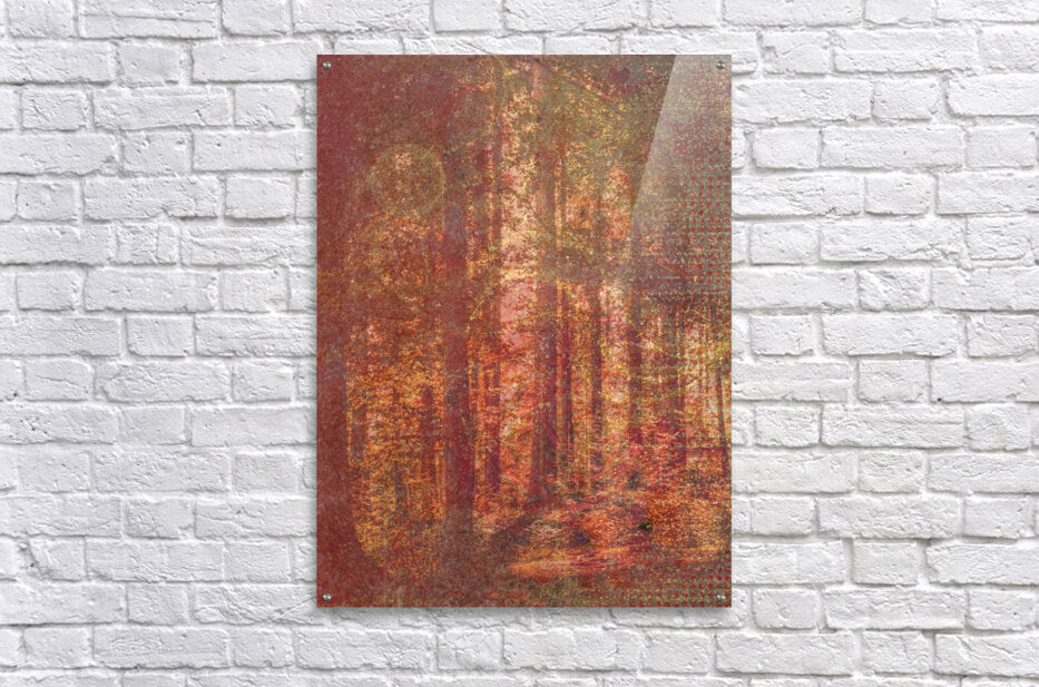 Autumn Warmth