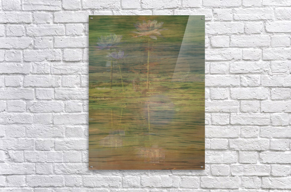 Tranquil Reflections