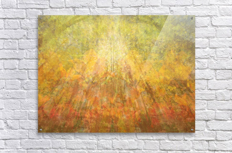 Cascade Of Gold