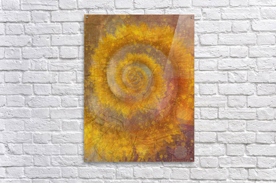 Spirals Of Time