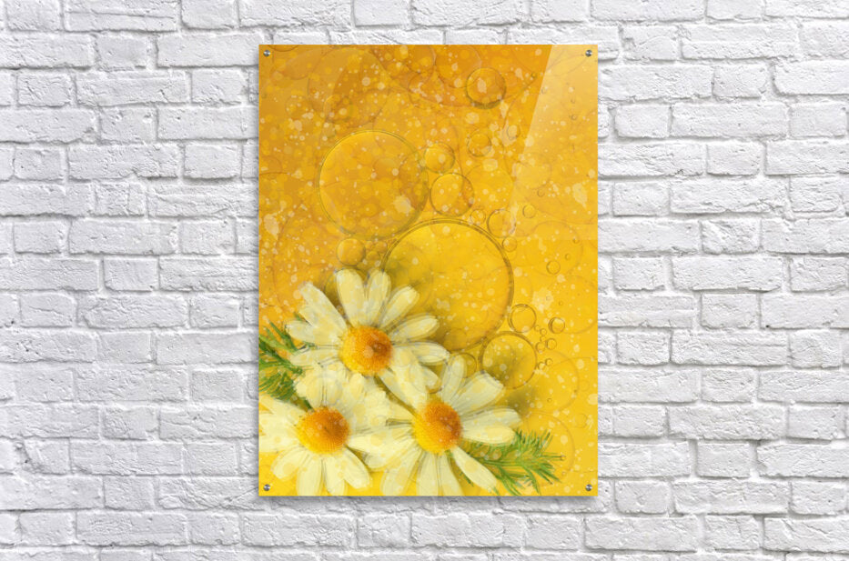 Fluid Daisies