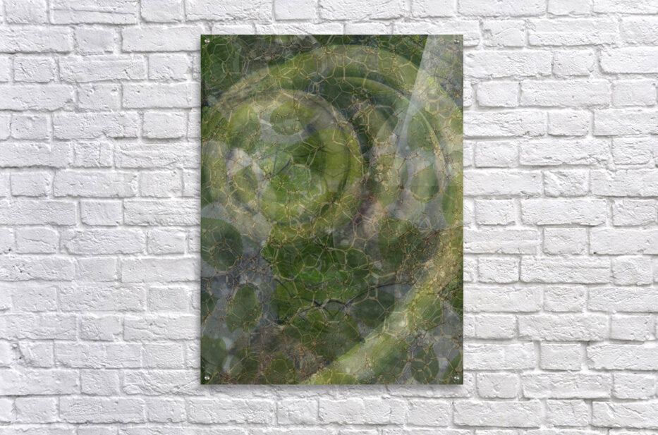 Natures Mosaic