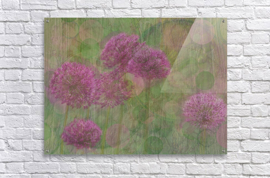 Whimsical Alliums