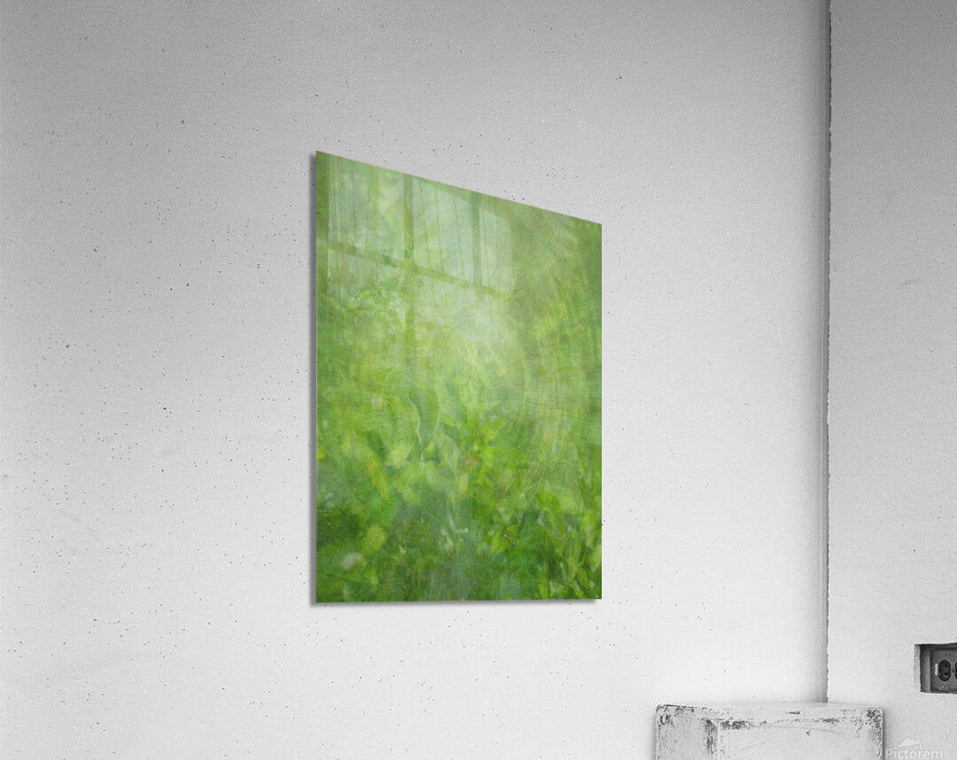 Acrylic Print