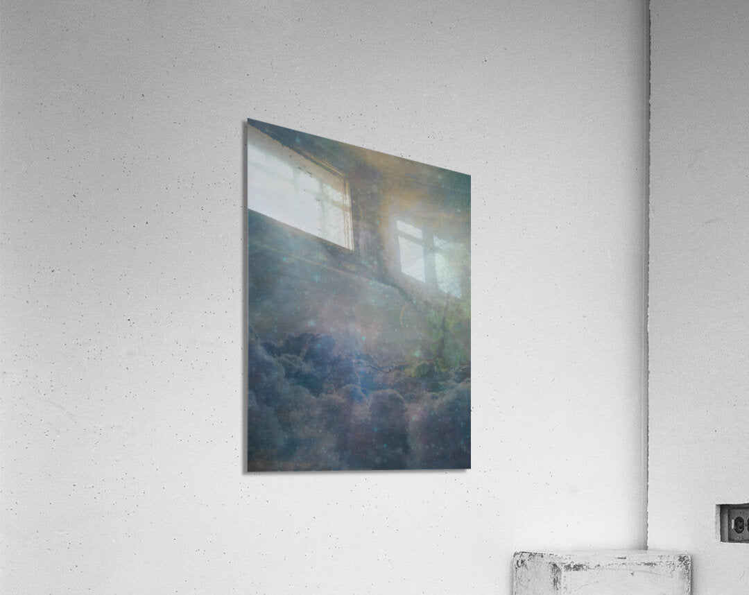 Acrylic Print