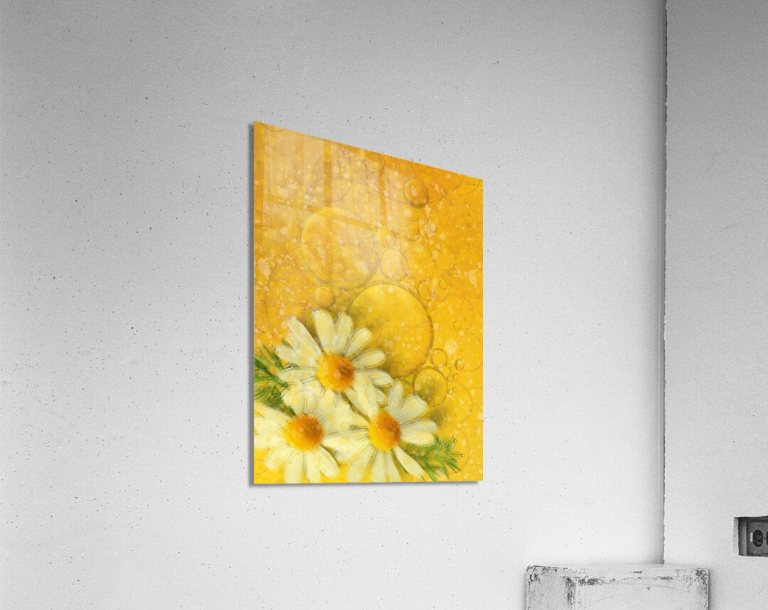 Fluid Daisies