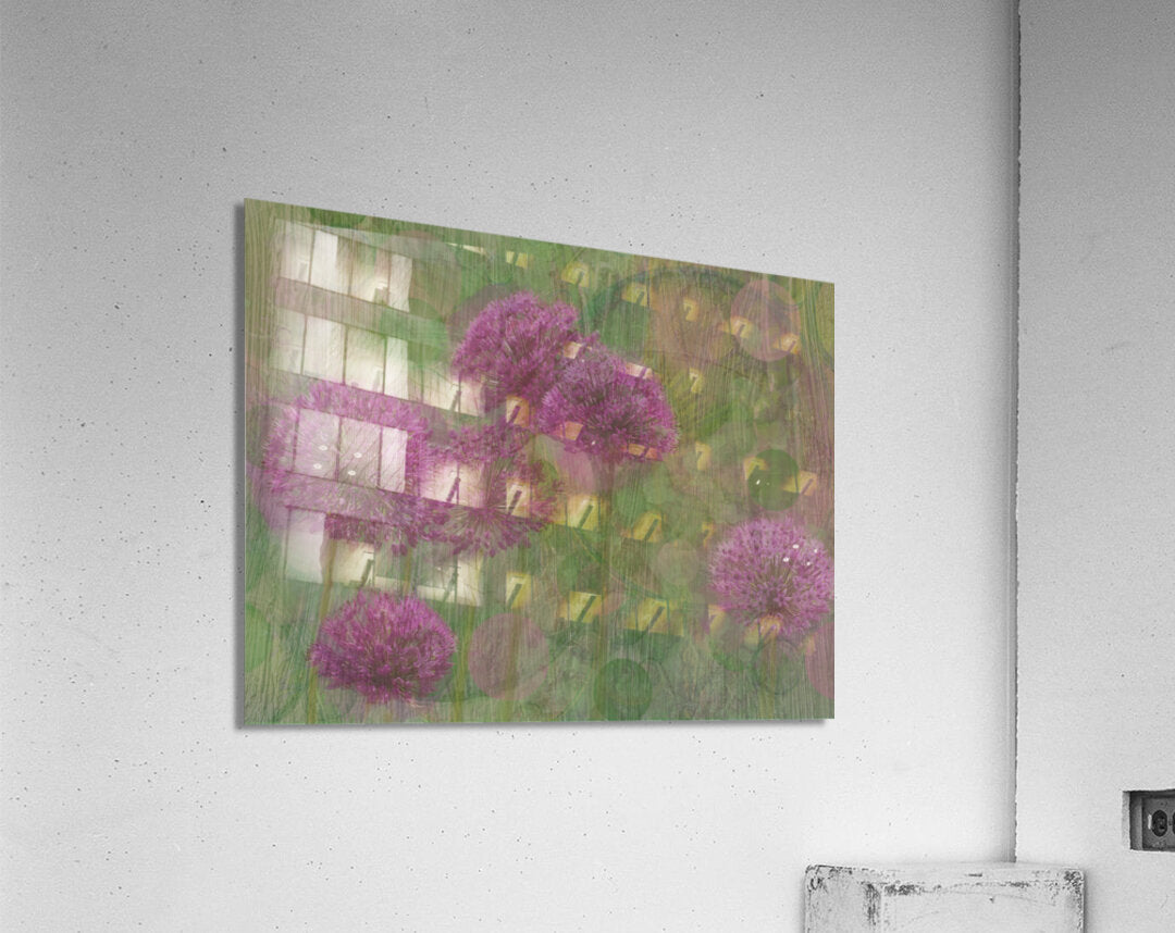 Whimsical Alliums