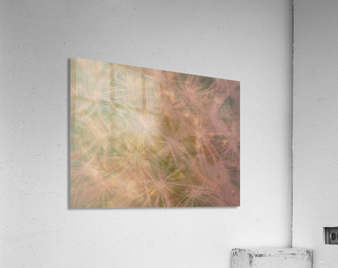 2332667 :: Acrylic Print