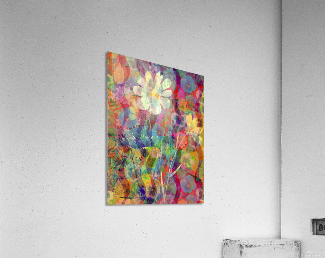 2397888 :: Acrylic Print
