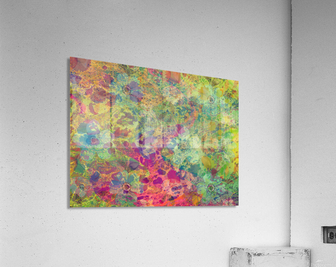2397895 :: Acrylic Print